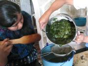 Boiling the leaves