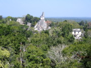 Tikal